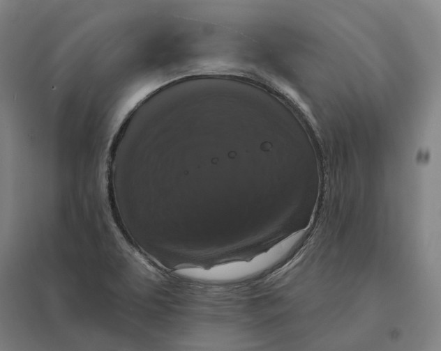 X0000095111463200712301725