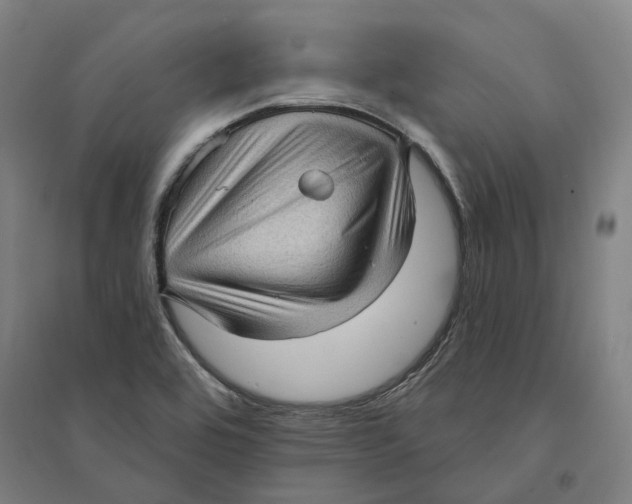 X0000095111464200712301725