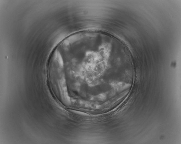 X0000095111467200712301725