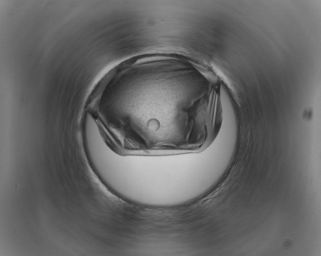 X0000095111468200712301725