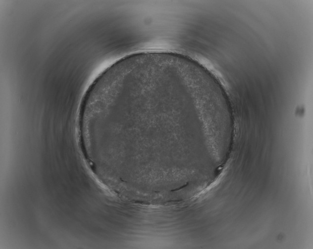 X0000095111469200712301725