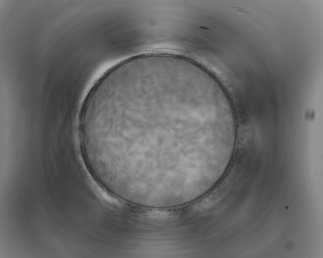 X0000095111470200712301725