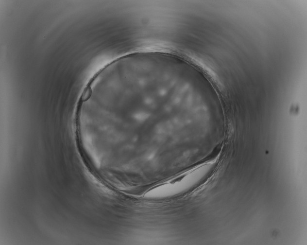 X0000095111471200712301725