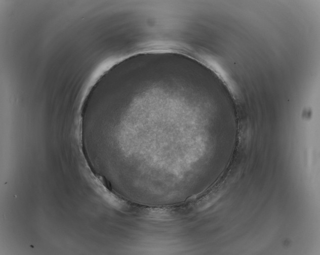 X0000095111472200712301725