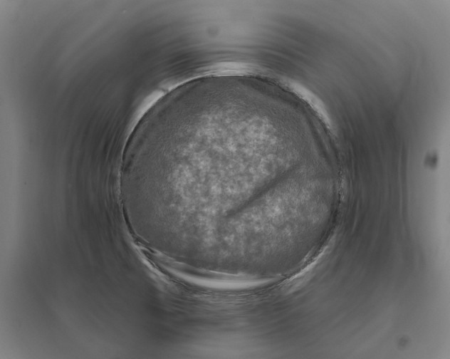 X0000095111473200712301724