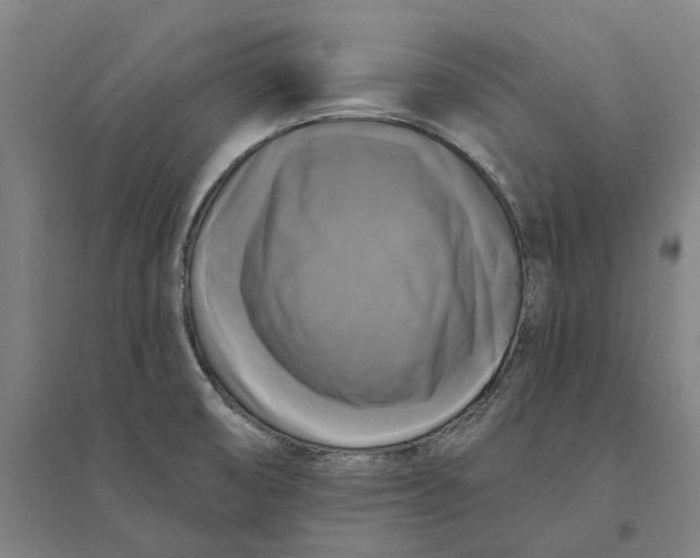 X0000095111474200712301724