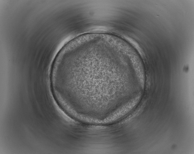 X0000095111475200712301724