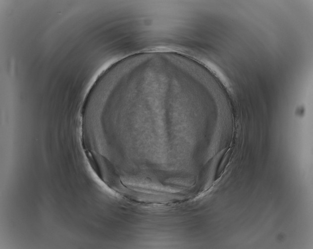 X0000095111476200712301724