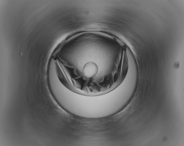 X0000095111477200712301724