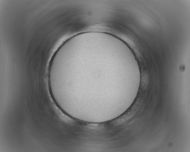 X0000095111478200712301724