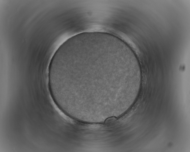 X0000095111479200712301724