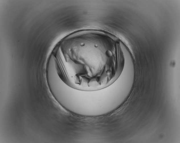 X0000095111480200712301724