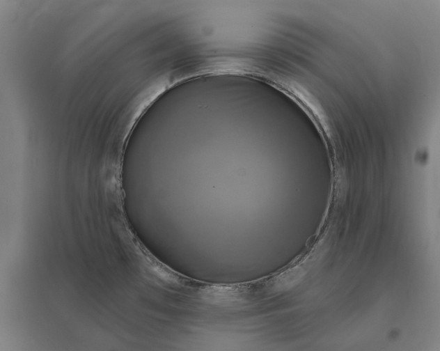 X0000095111481200712301724