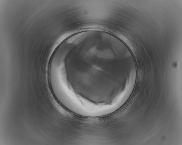 X0000095111482200712301724