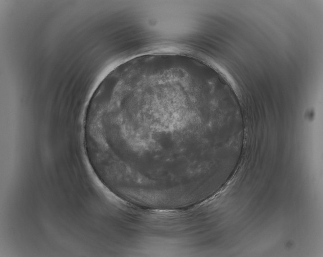 X0000095111483200712301724