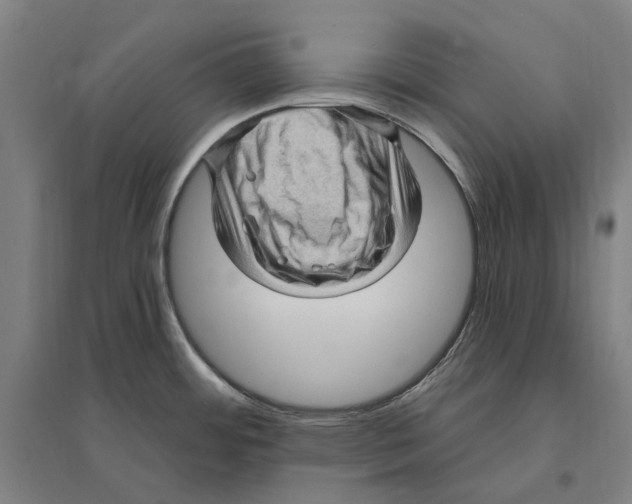 X0000095111484200712301724