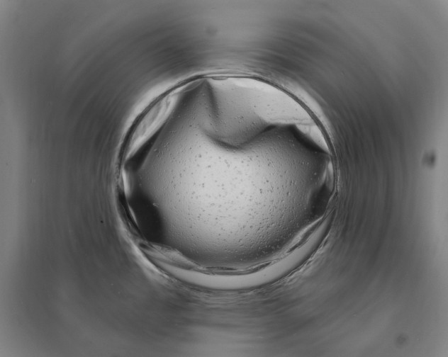 X0000095111485200712301724