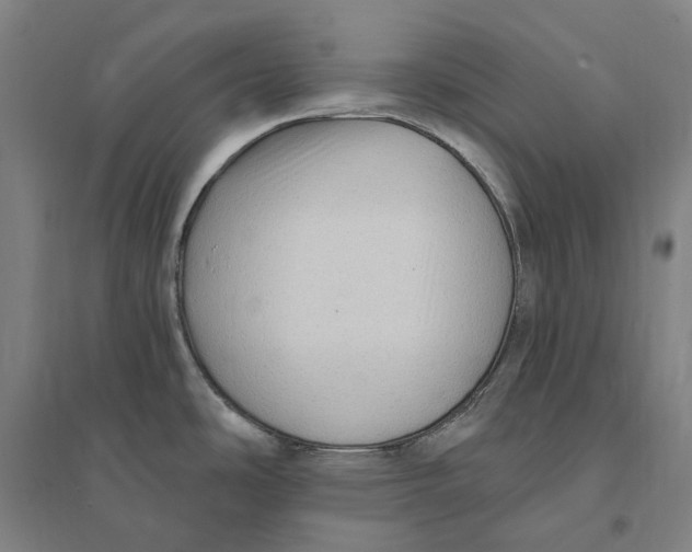 X0000095111486200712301724