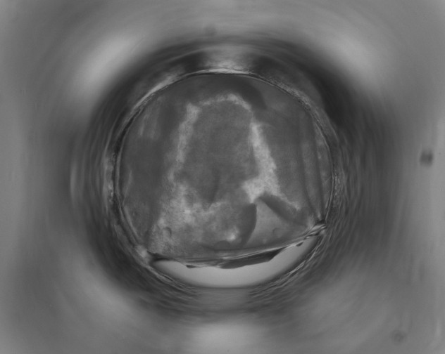 X0000095111487200712301724