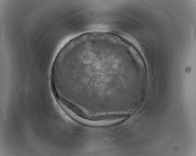 X0000095111488200712301724