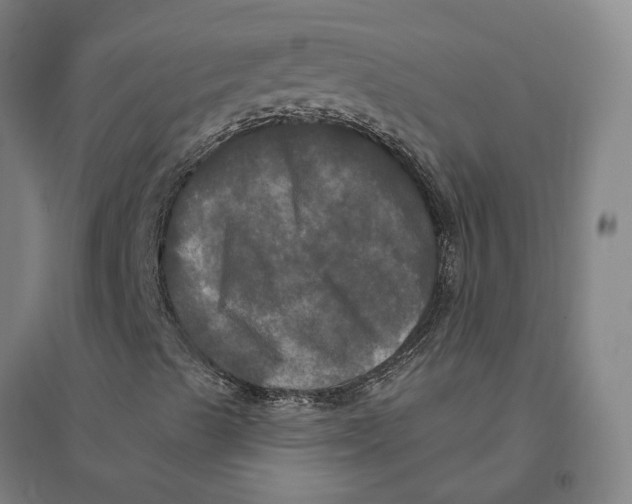 X0000095111489200712301724