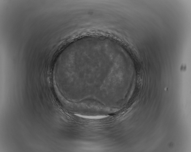 X0000095111490200712301724