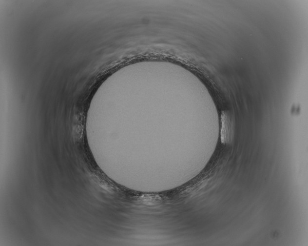 X0000095111491200712301724