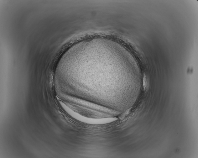 X0000095111492200712301724