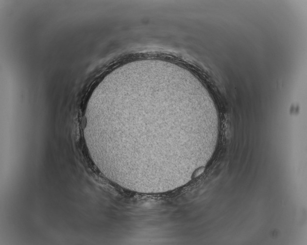 X0000095111493200712301724