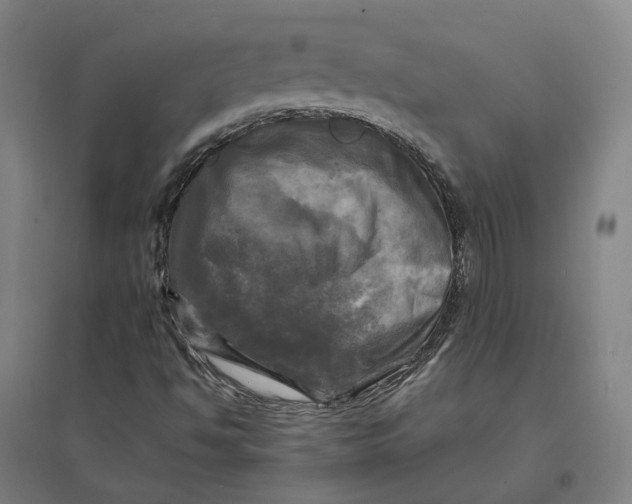 X0000095111494200712301724