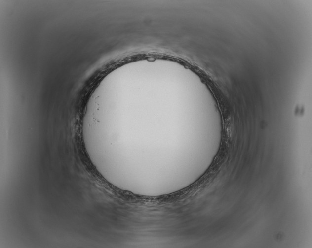 X0000095111495200712301724