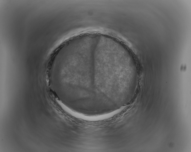 X0000095111496200712301724