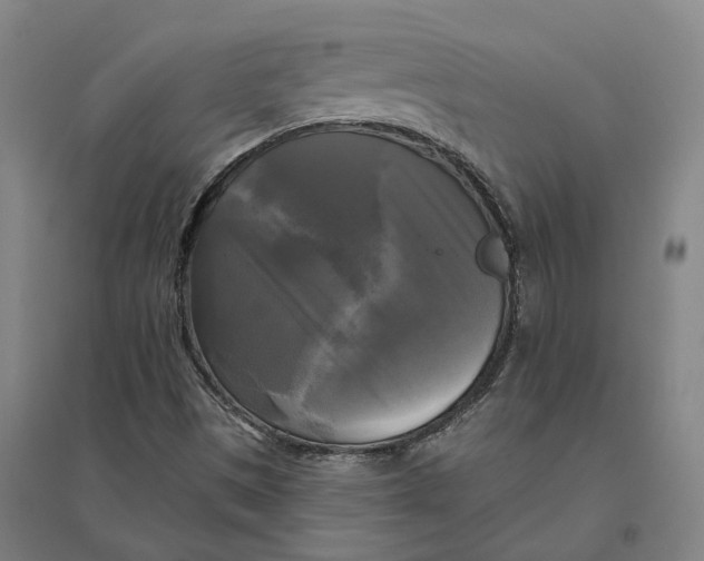 X0000095111497200712301724