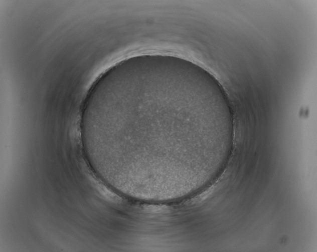 X0000095111498200712301724