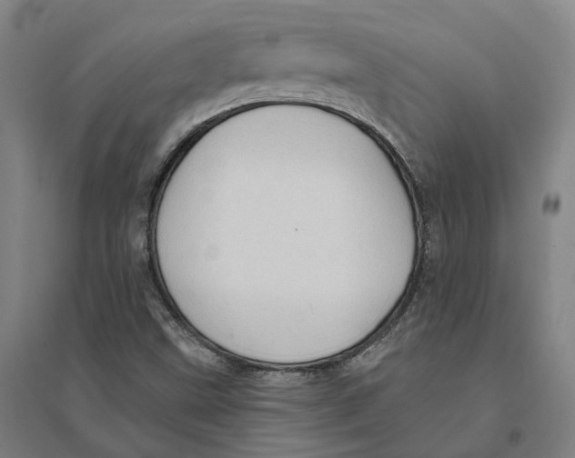 X0000095111499200712301724