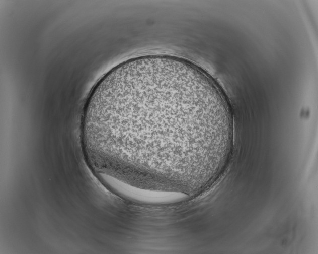 X0000095111500200712301724