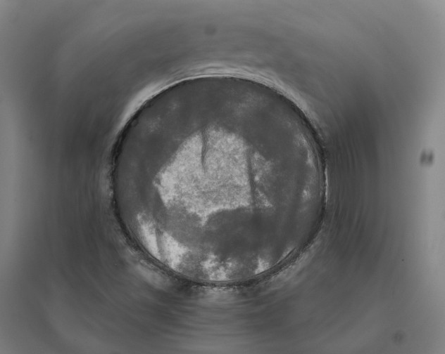 X0000095111501200712301724