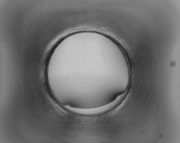 X0000095111502200712301724