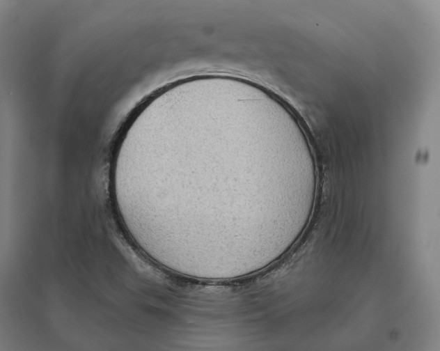 X0000095111503200712301724