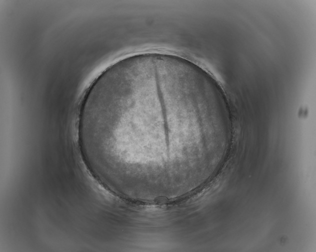 X0000095111504200712301724