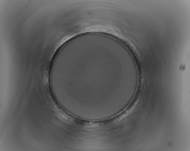 X0000095111505200712301724