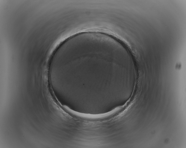 X0000095111506200712301724