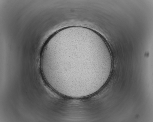 X0000095111507200712301724