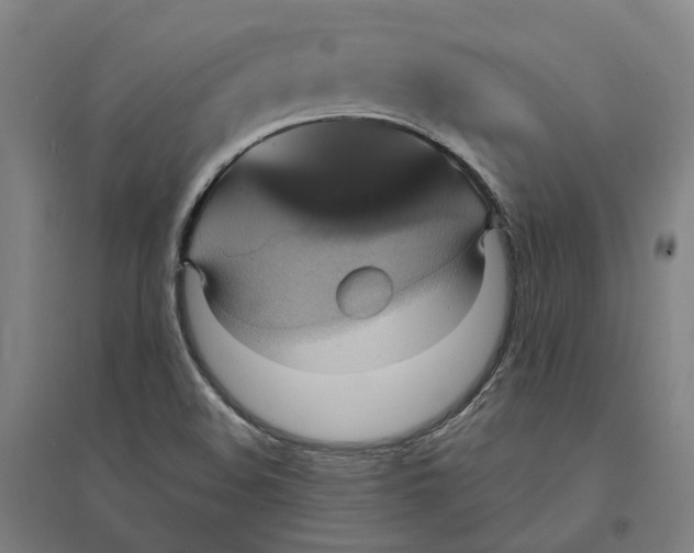 X0000095111508200712301724