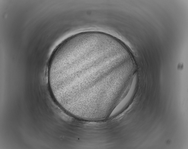 X0000095111510200712301724