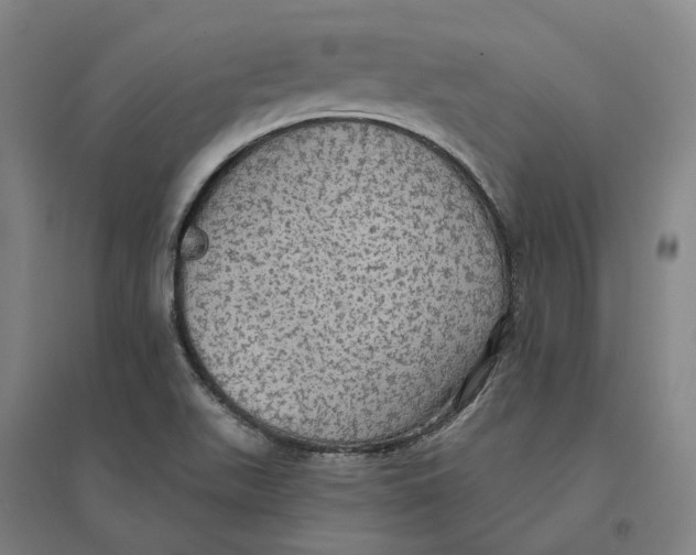 X0000095111511200712301724