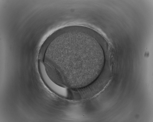 X0000095111512200712301724