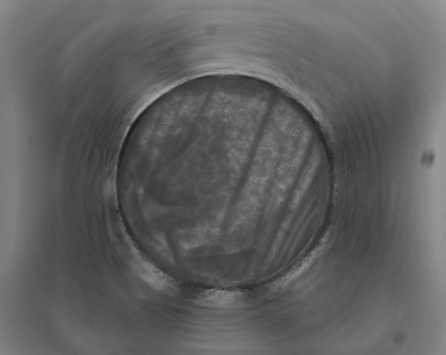 X0000095111513200712301724