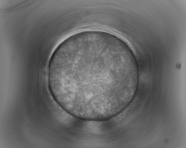 X0000095111514200712301724