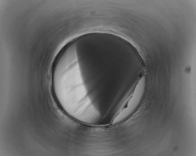 X0000095111515200712301724